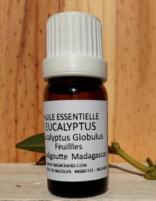 Eucalyptus globulus huile essentielle madatrano